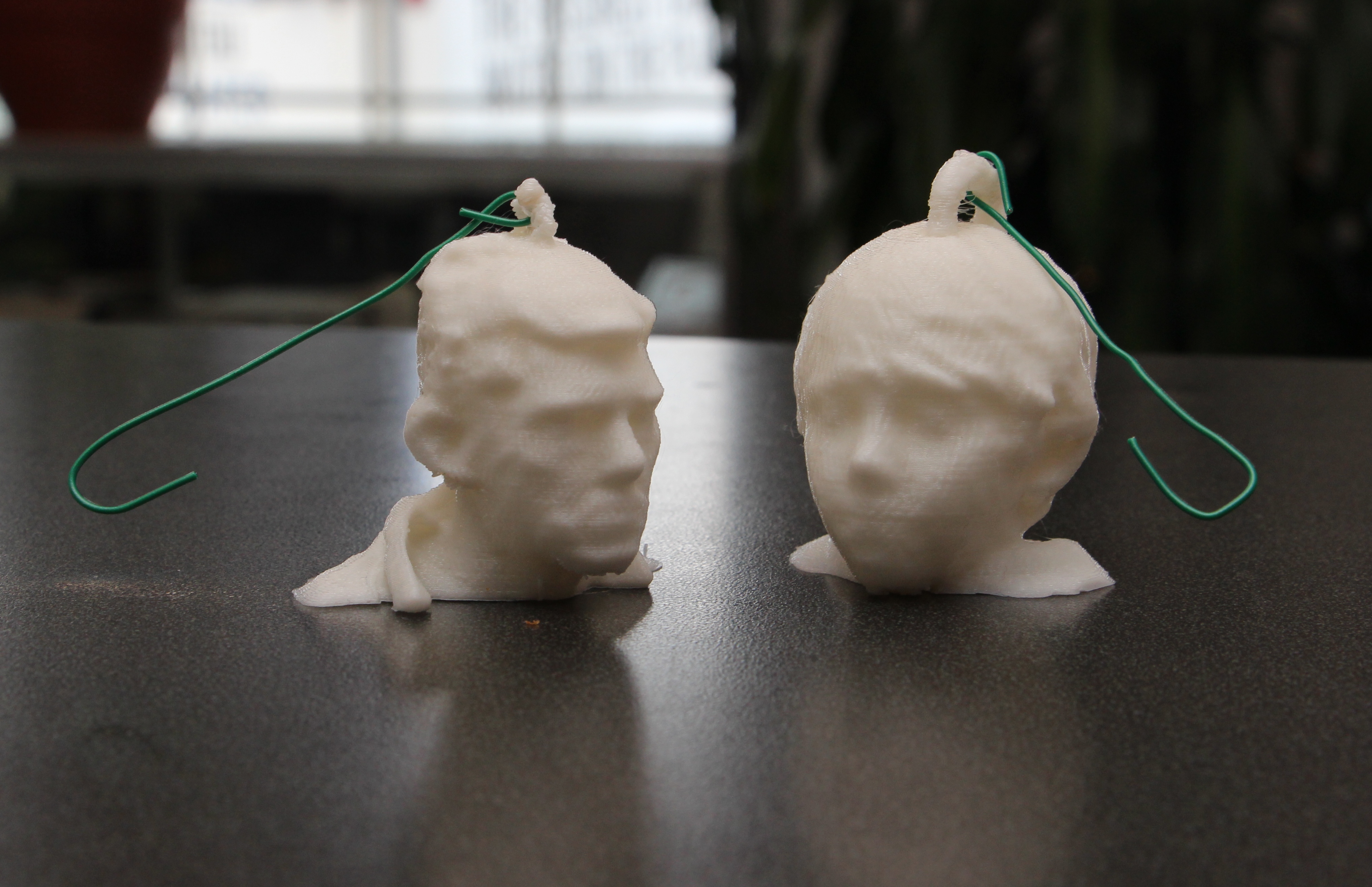 3D Printing your Head